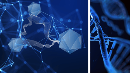AAV Safety Assay Platform: The Immunogenicity Trifecta - NAb, TAb & Complement