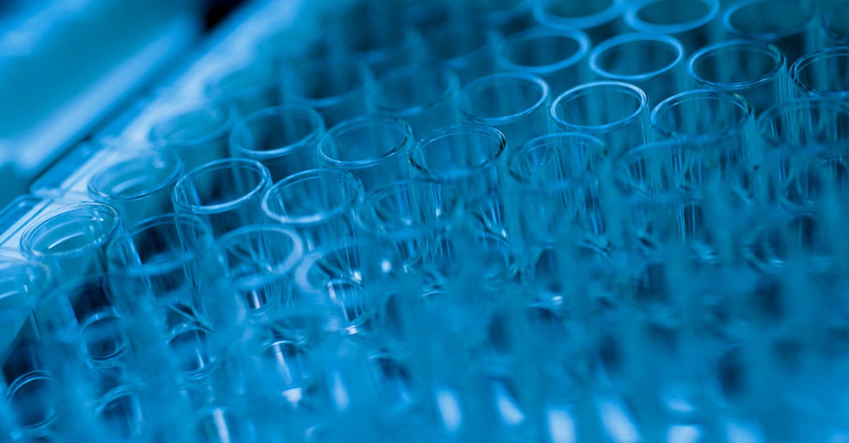 Advancements in Complement System Therapeutics