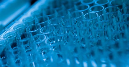 Advancements in Complement System Therapeutics