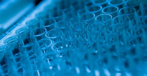 Advancements in Complement System Therapeutics