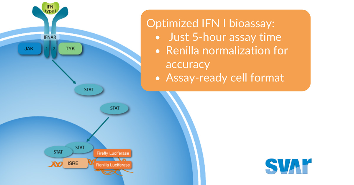 Transitioning to Second-Generation iLite Cells