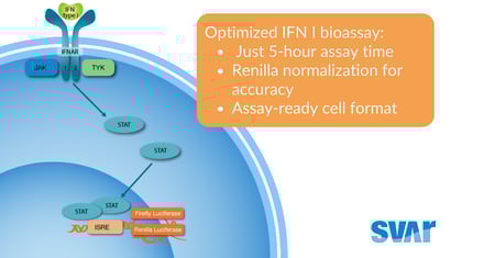 Transitioning to Second-Generation iLite Cells