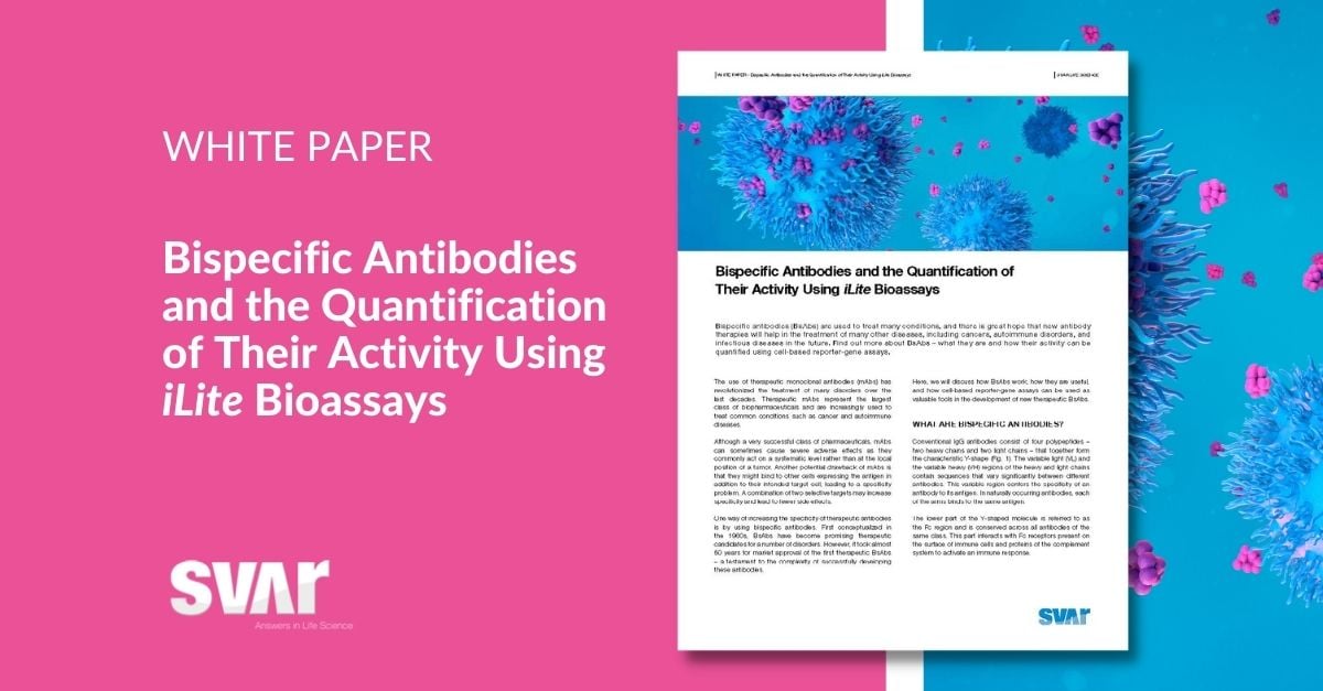 Bispecific Antibodies – Quantifying Their Activity Using iLite® Bioassays