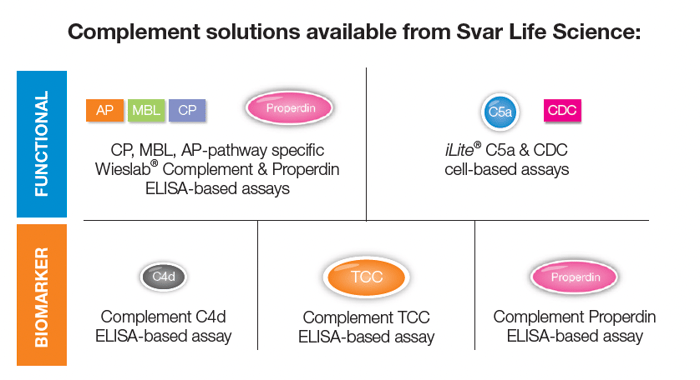 image showing Svar's complement solutions