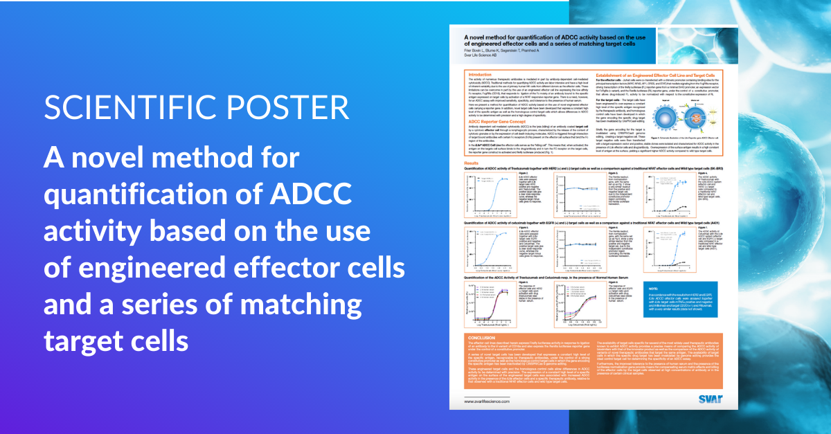A Novel Method for ADCC Activity Quantification using Engineered Effector Cells