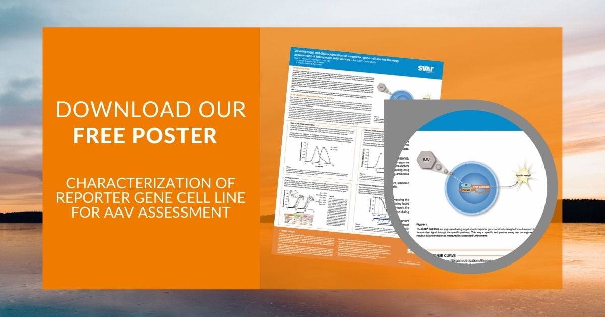 Developing a Reporter Gene Cell Line for Easy Assessment of Therapeutic AAV Vectors