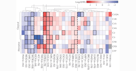 Complement Components as Prognostic Biomarkers in Renal Cancer