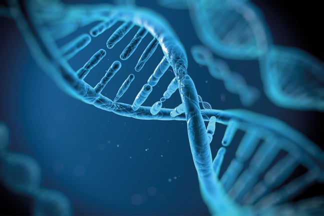 image of a DNA strand up close