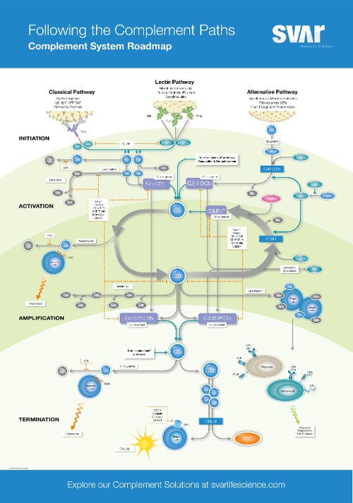 E-313-GB02 Complement Roadmap Poster - January 2022-1