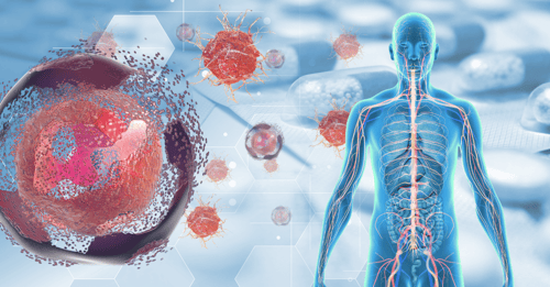 Targeting the Complement System: A New Era in Disease Treatment