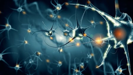 Neurofilament Light Chain as a Blood-Based Biomarker for MS
