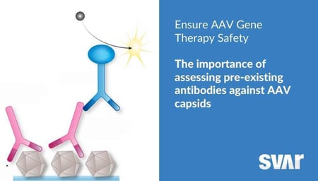 Decoding Pre-existing Antibodies Towards AAV Capsids to Optimize Gene Therapy Outcomes