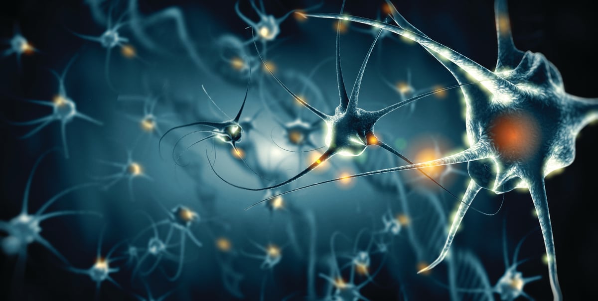 NfL – A Prognostic Biomarker Of&nbsp;Neuroaxonal Damage