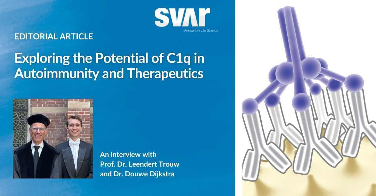 Unlocking the Power of C1q in Autoimmune Disease and Therapeutic Innovation