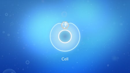 What is AAV gene therapy?