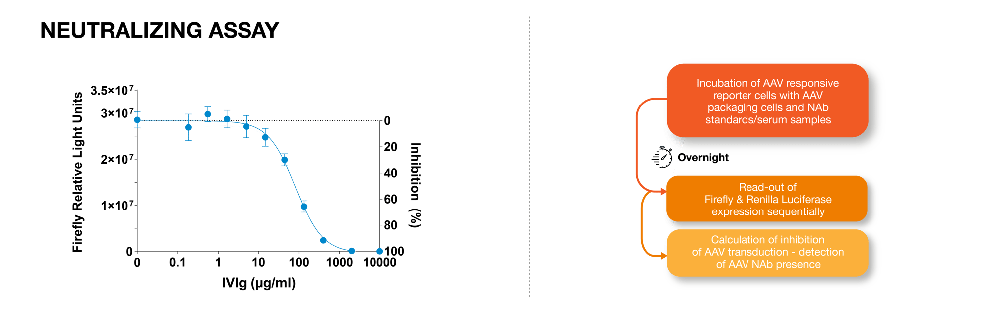 iLite® Solutions for AAV Antibody Assessment