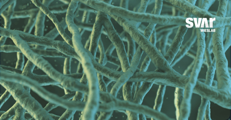 Wieslab offers a new  Small Fiber Neuropathy panel for extended testing