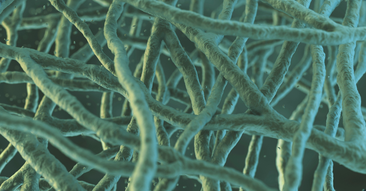 LinkedIn Wieslab Diagnostics 1200x628px (5)