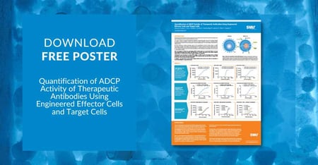 Quantification of ADCP Activity of Therapeutic Antibodies Using Engineered Effector Cells and Target Cells