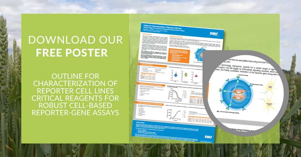 Outline for Characterization of Reporter Cell Lines