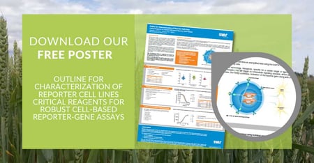 Outline for Characterization of Reporter Cell Lines
