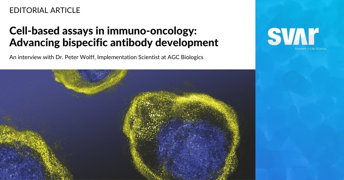 Cell-based Assays in Immuno-oncology: Advancing Bispecific Antibody Development