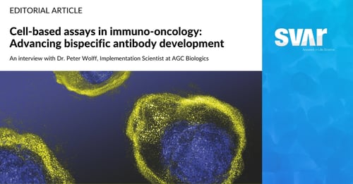 Cell-based Assays in Immuno-oncology: Advancing Bispecific Antibody Development