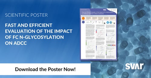 Fast and Efficient Evaluation of the Impact of Fc N-glycosylation on ADCC