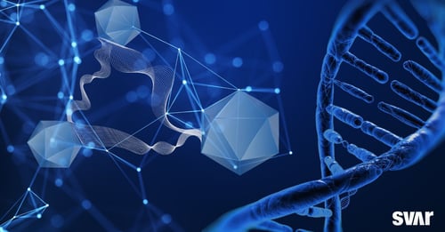Advancing Safer AAV Gene Therapies Through Comprehensive Immunogenicity Assessment