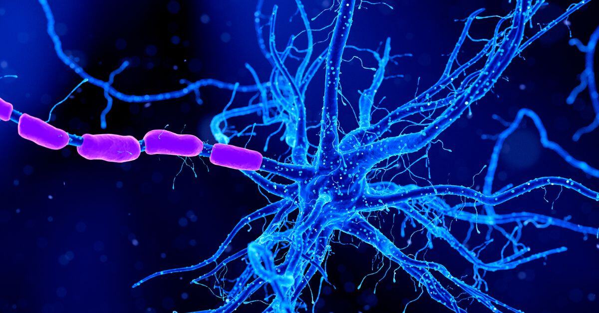 Understanding NMOSD & MOGAD