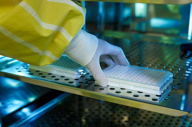 image of a lab worker placing a assay plate in to an incubator