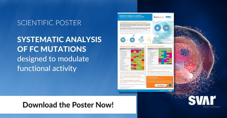 Systematic Analysis of Fc Mutations Designed to Modulate Functional Activity