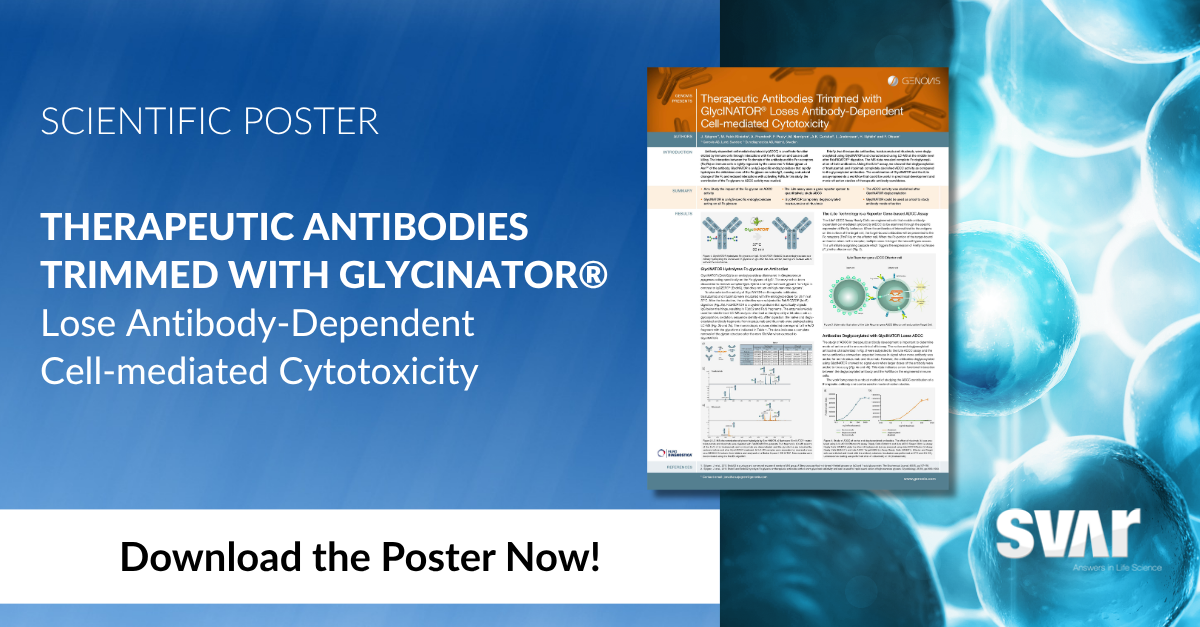 Therapeutic Antibodies Trimmed with GlycINATOR® Lose Antibody-Dependent Cell-mediated Cytotoxicity