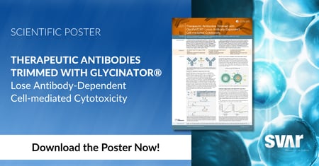 Therapeutic Antibodies Trimmed with GlycINATOR® Lose Antibody-Dependent Cell-mediated Cytotoxicity