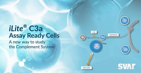 Introducing the new iLite® C3a Assay Ready Cells