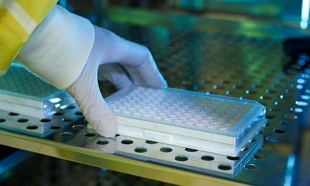 HER2 and the future of breast cancer immunotherapy