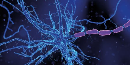 The Role of Laboratory Testing in the Diagnosis of Alzheimer’s Disease