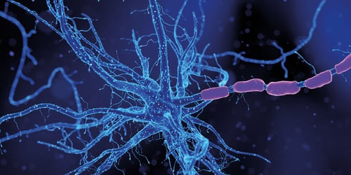 The Role of Laboratory Testing in the Diagnosis of Alzheimer’s Disease