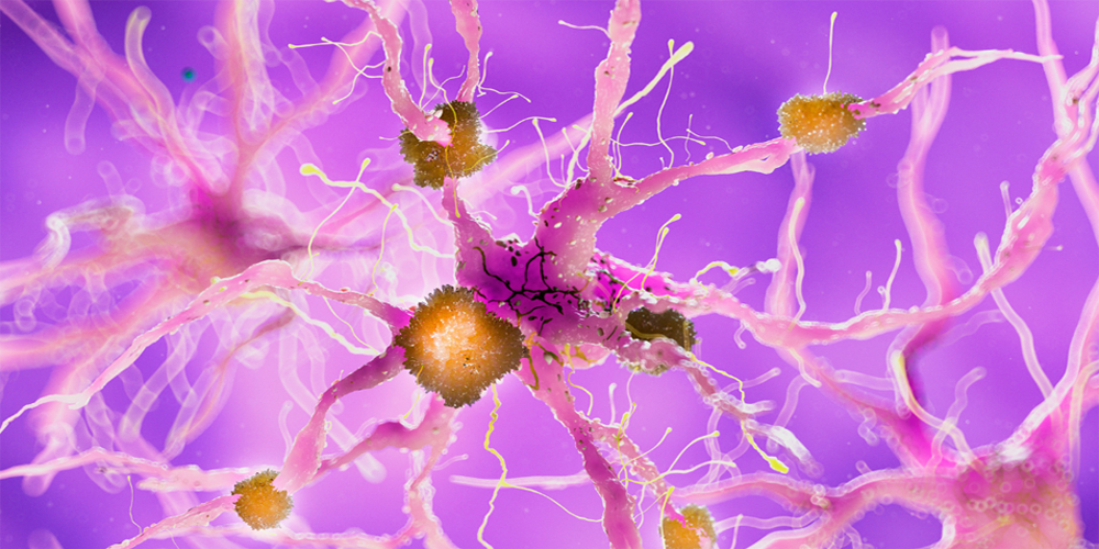 ptau_181_1000x500
