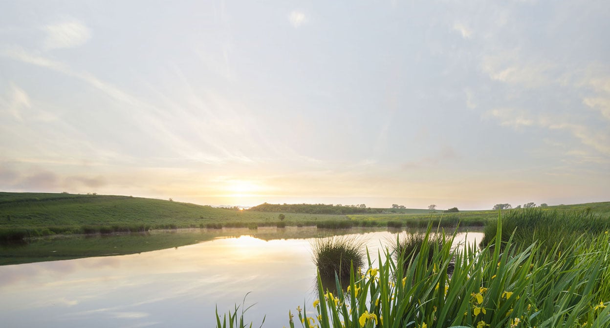 Swedish-Nature-10-1248x672