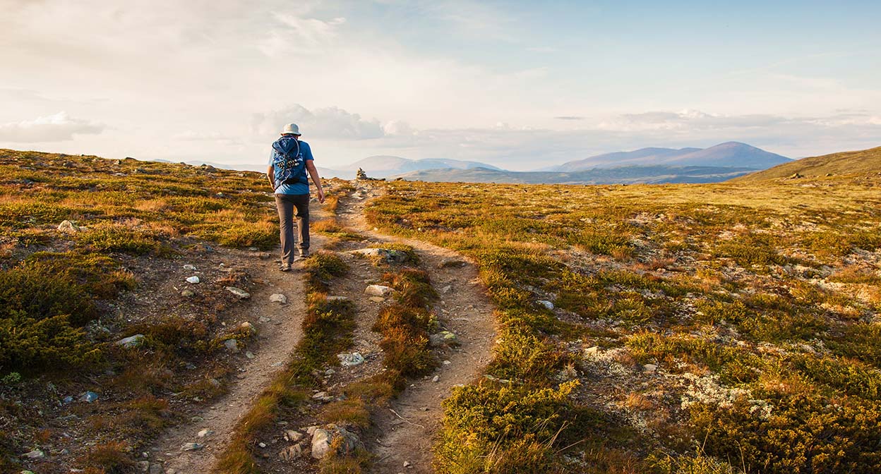 follow-the-complement-path