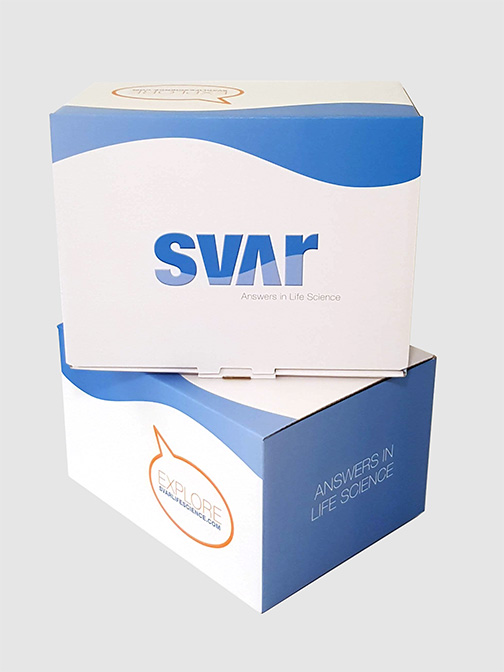 Svar box