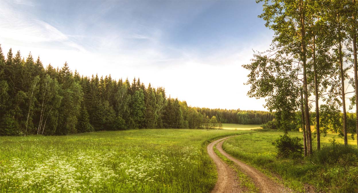 nature-path-1248x672