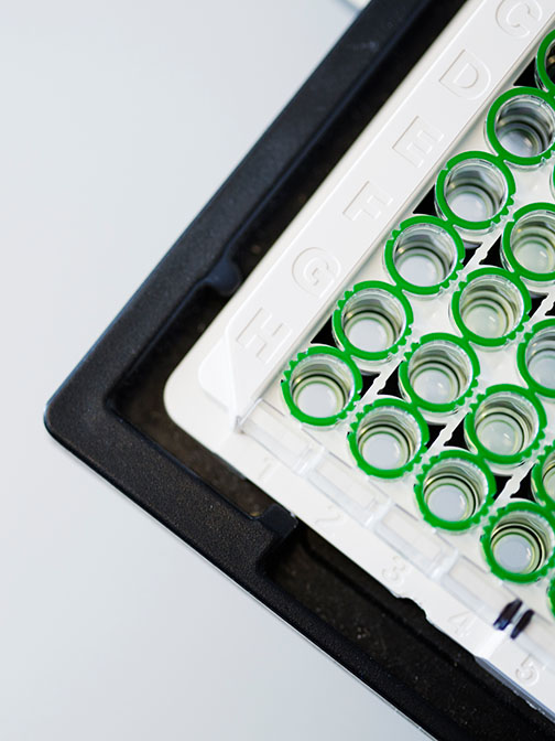 plate-detail-504x672