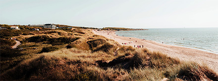 beach-440x165