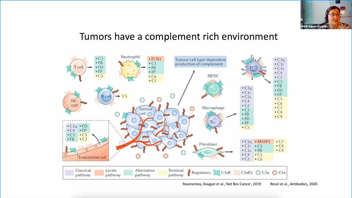 Lubka Online Presentation