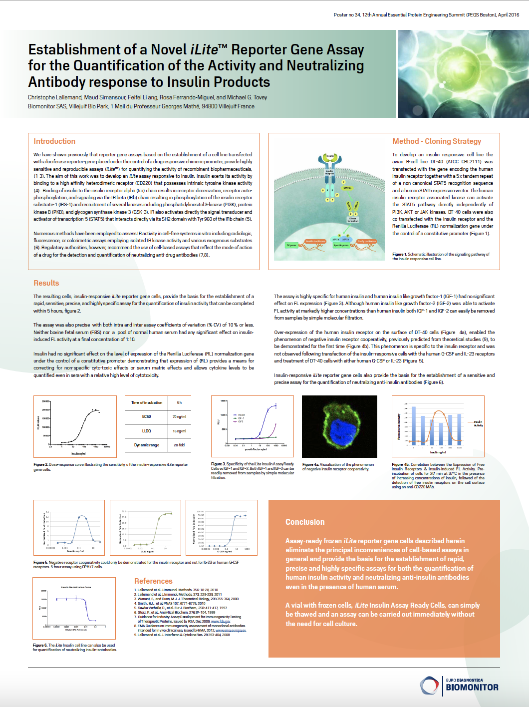 Establishment of a Novel iLite Reporter Gene Assay