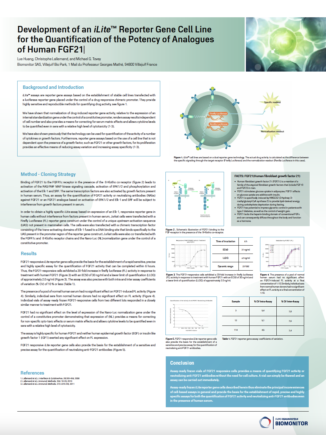 Development of an iLite Reporter Gene Cell Line