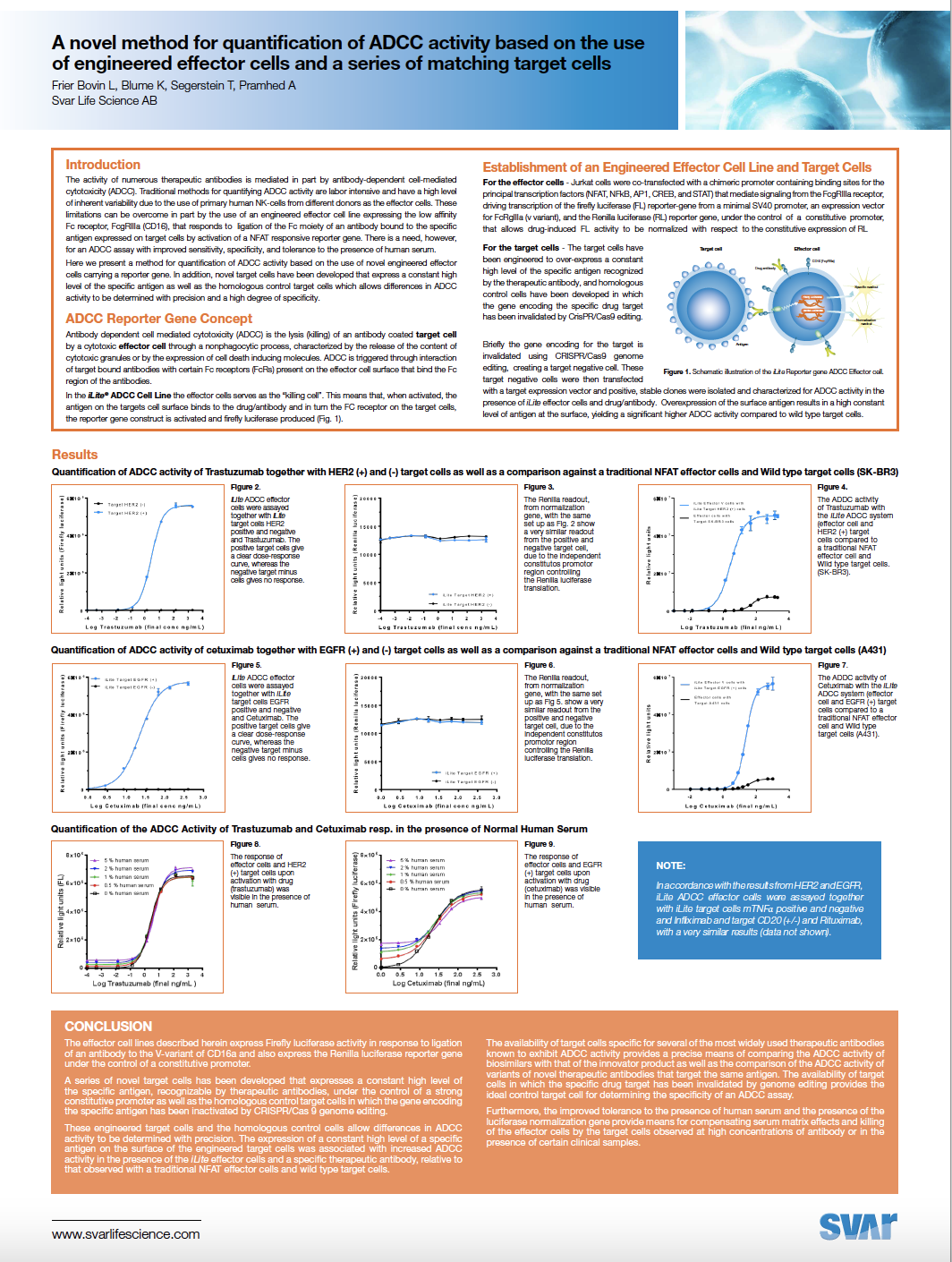 E-292-GB02-ADCC-engineered effector cells and a series of matching target cells -1
