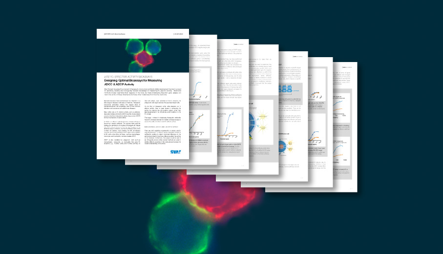 fc-effector-whitepaper-2